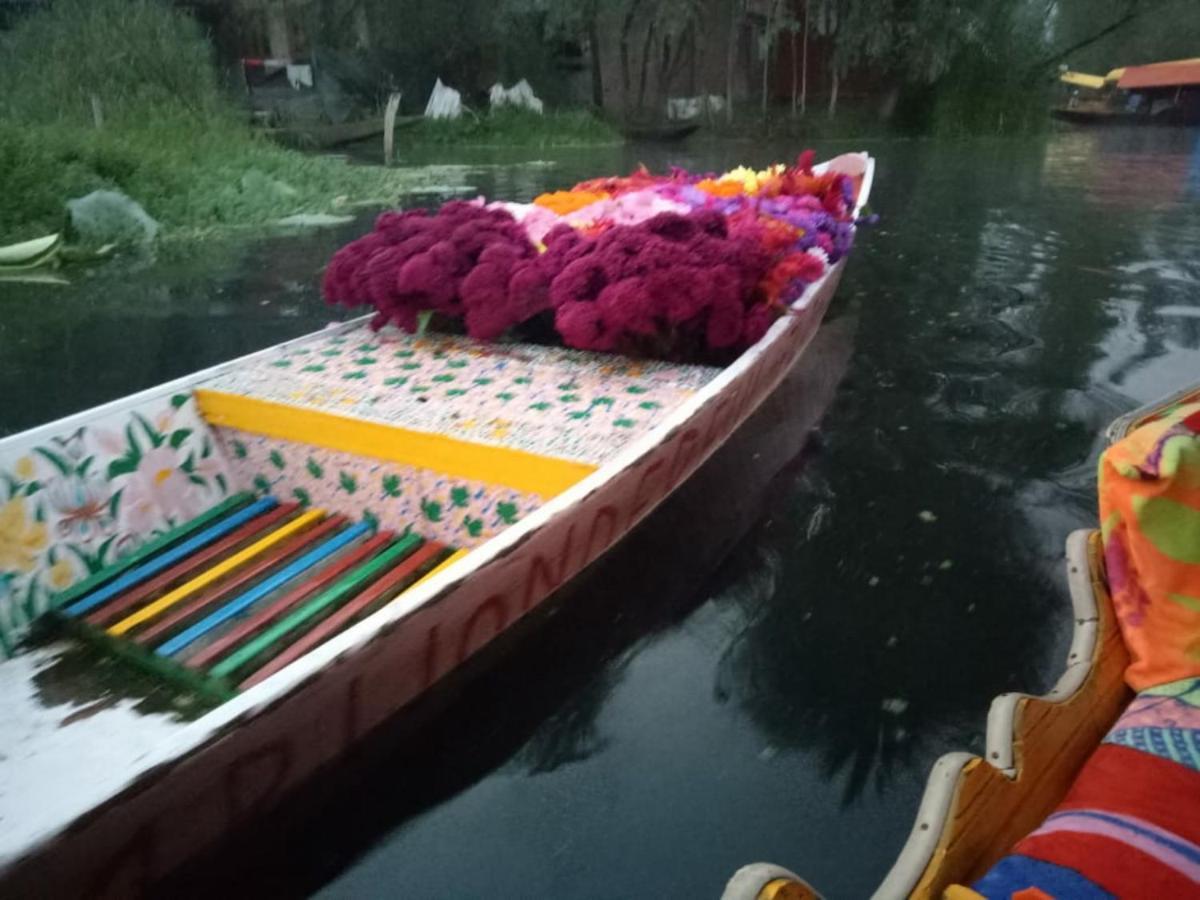 Umbrella Group Of House Boat 호텔 Srīnagar 외부 사진
